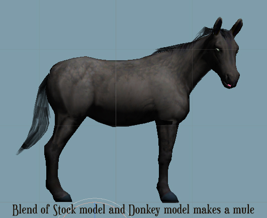 Cool things afloat, blending models and unique manes and tails.