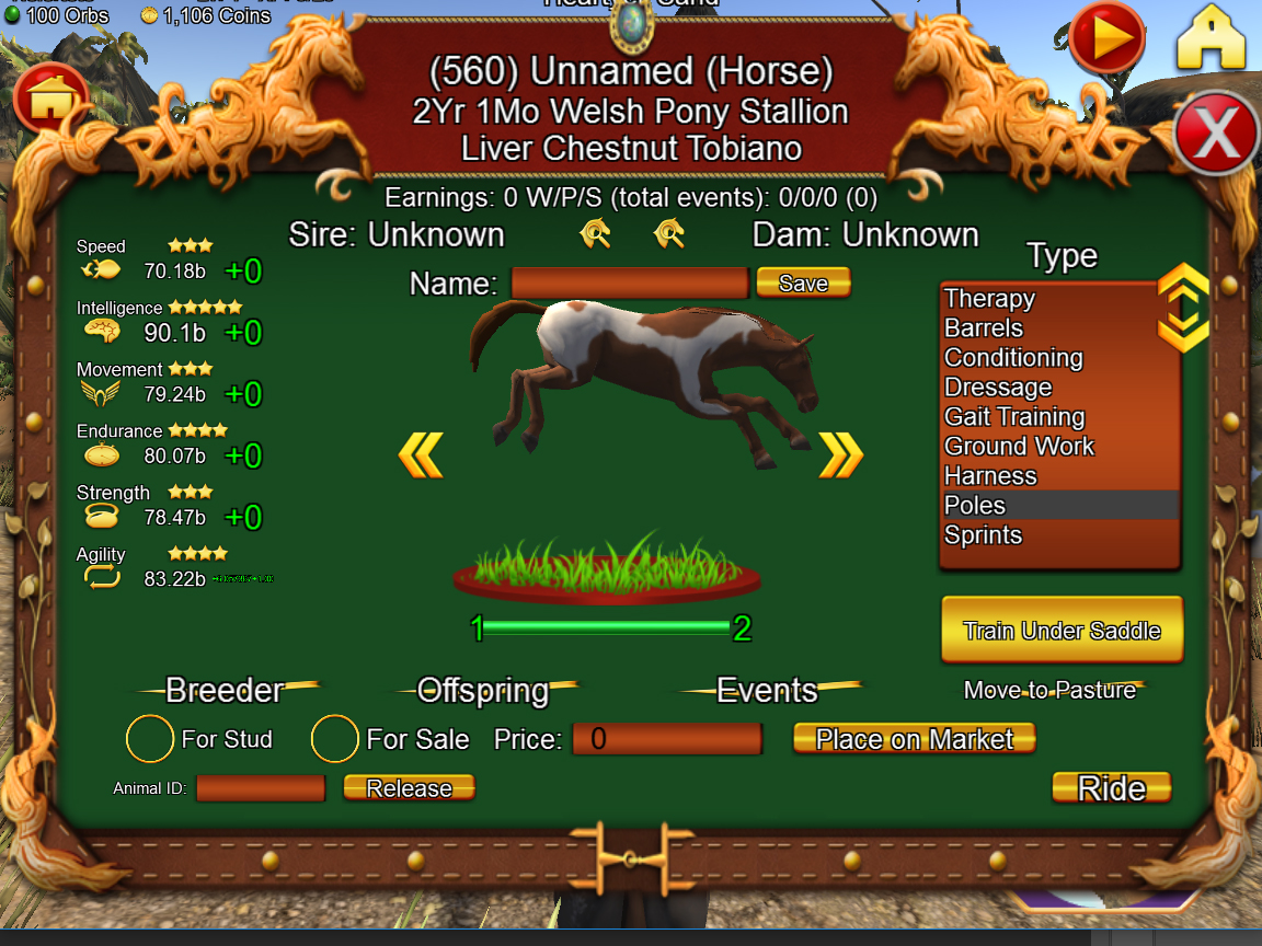 Virtual Horse Ranch Training | Virtual Horse Ranch 3D
